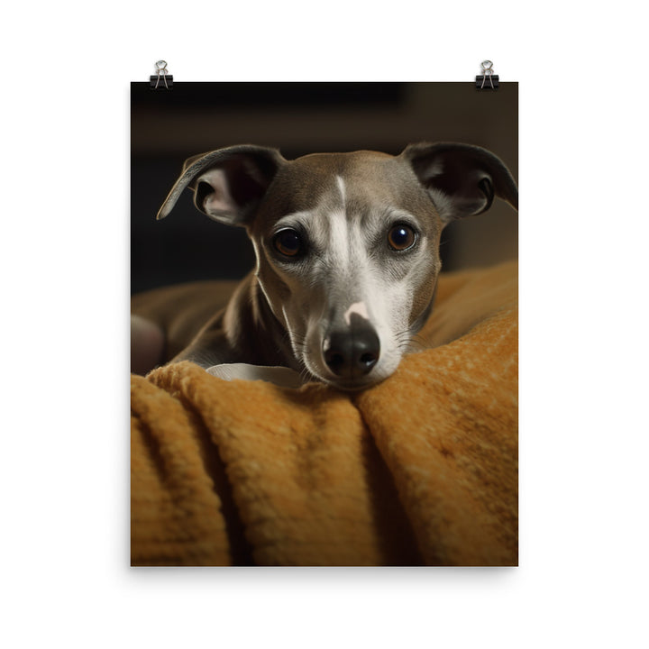 Whippet at Home Photo paper poster - PosterfyAI.com