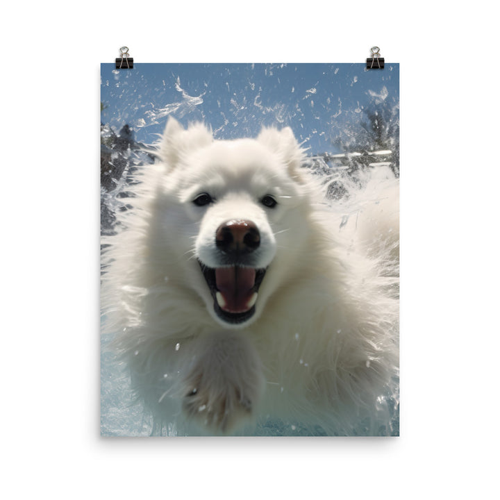 Samoyed Splash Photo paper poster - PosterfyAI.com