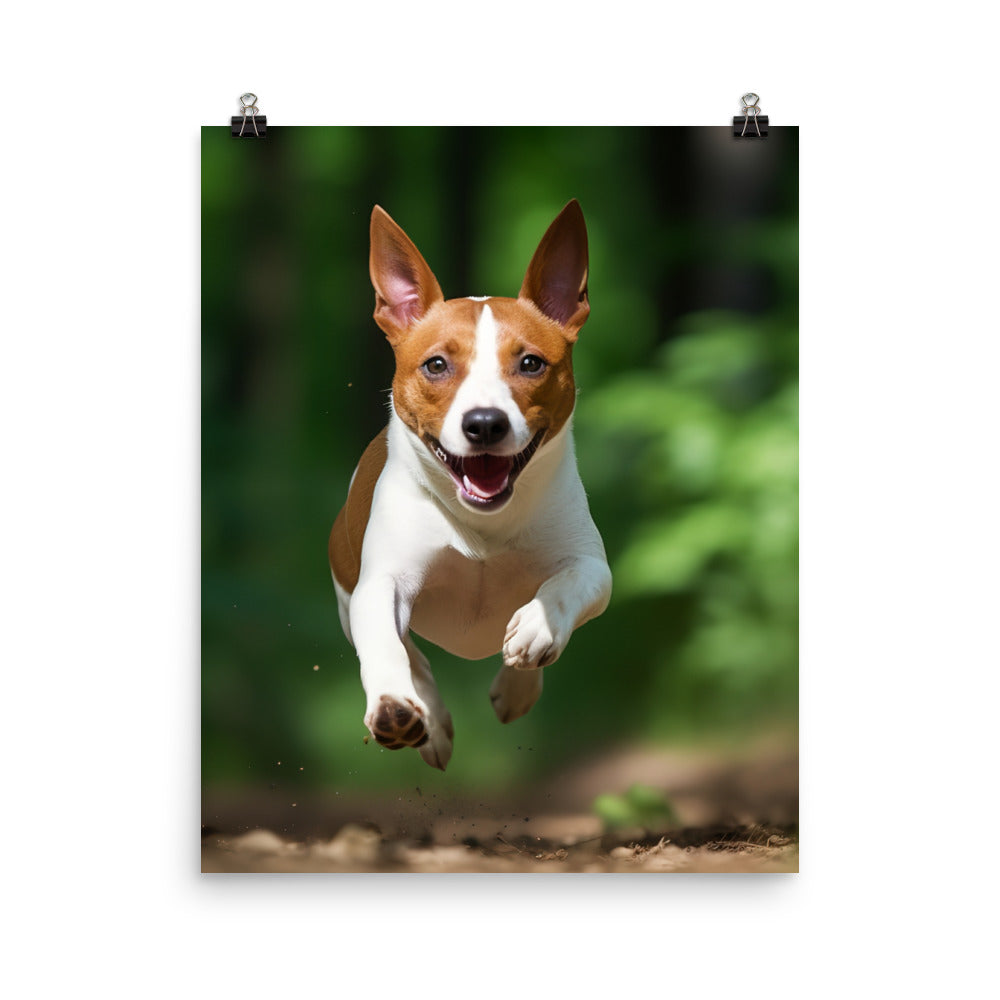 Running Basenji Photo paper poster - PosterfyAI.com