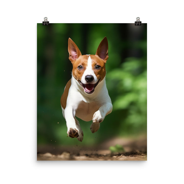 Running Basenji Photo paper poster - PosterfyAI.com