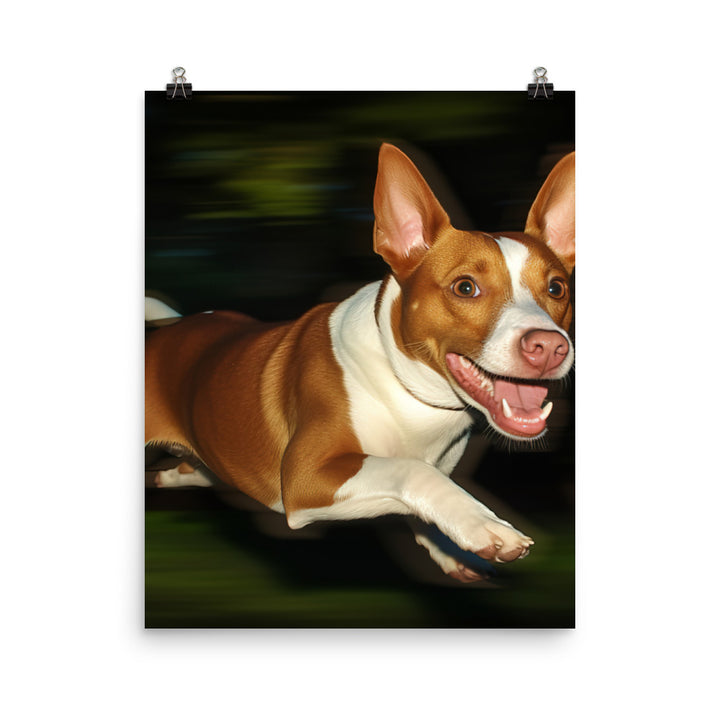 Running Basenji Photo paper poster - PosterfyAI.com