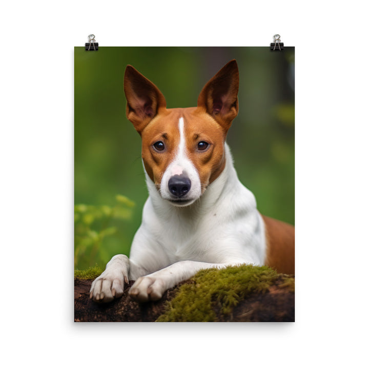 Relaxing Basenji Photo paper poster - PosterfyAI.com