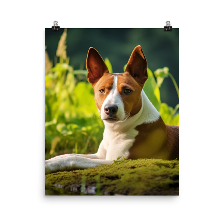 Relaxing Basenji Photo paper poster - PosterfyAI.com