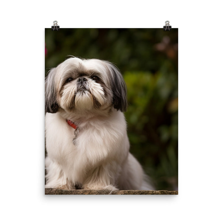 Regal Shih Tzu Posing in the Garden Photo paper poster - PosterfyAI.com