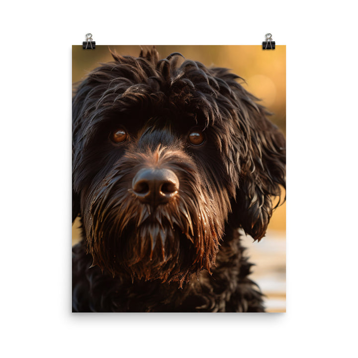 Portrait of a Portuguese Water Dog Photo paper poster - PosterfyAI.com