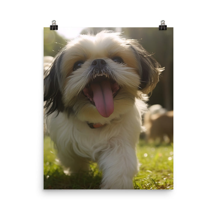 Playful Shih Tzu in a Park Photo paper poster - PosterfyAI.com