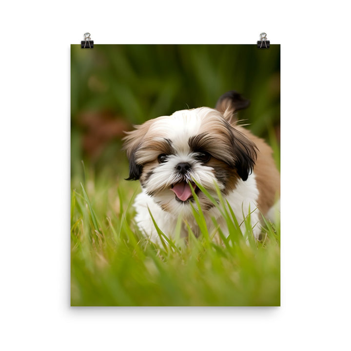 Playful Shih Tzu Enjoying the Outdoors Photo paper poster - PosterfyAI.com