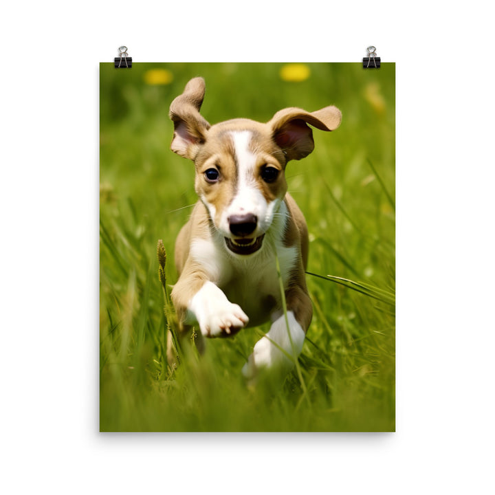 Playful Greyhound Pup Photo paper poster - PosterfyAI.com