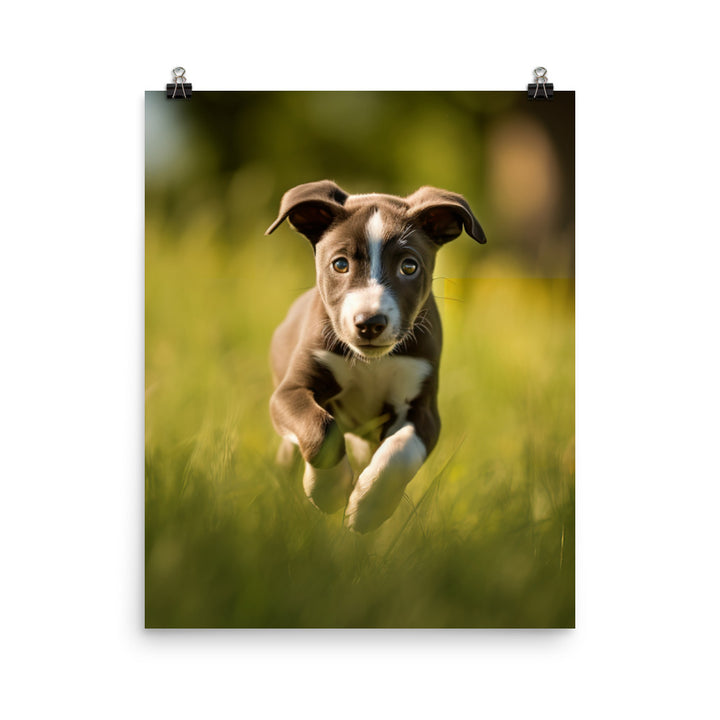 Playful Greyhound Pup Photo paper poster - PosterfyAI.com