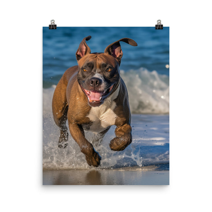 Playful American Staffordshire Terrier Photo paper poster - PosterfyAI.com