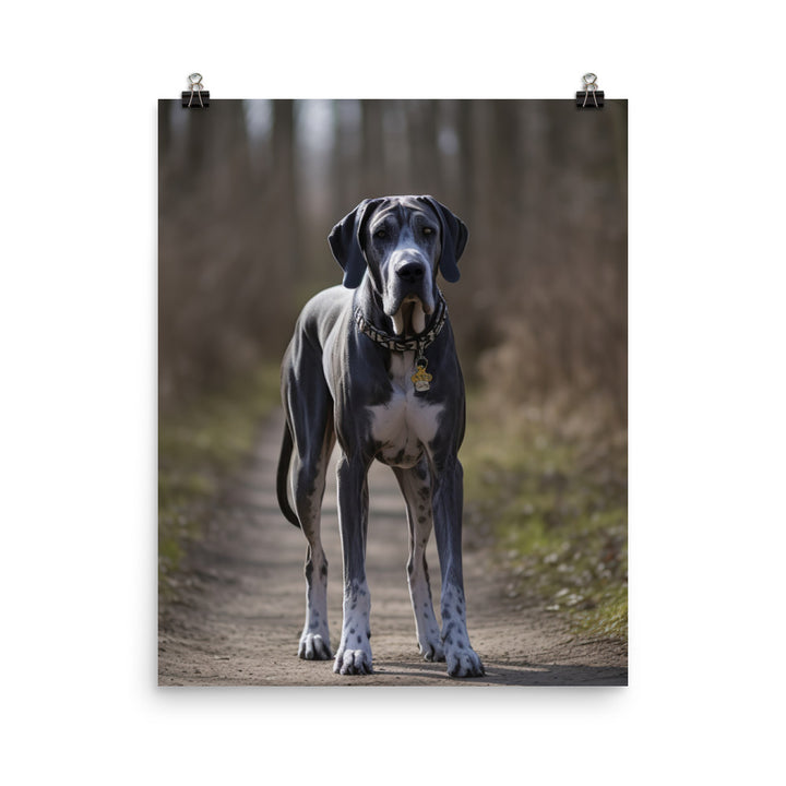 Majestic Great Dane on a Stroll Photo paper poster - PosterfyAI.com
