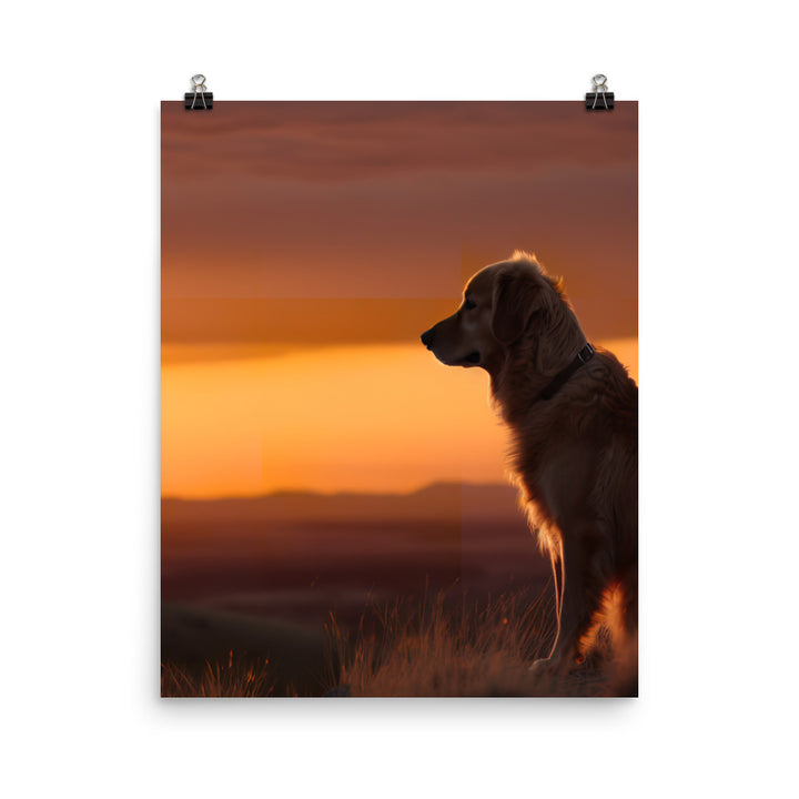 Majestic Golden Retriever at Sunset Photo paper poster - PosterfyAI.com