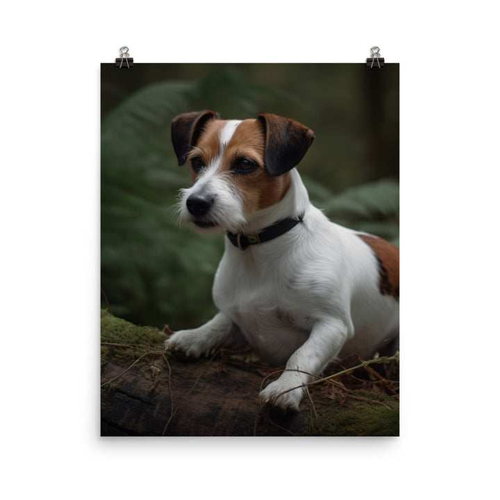Loyal Jack Russell Terrier Photo paper poster - PosterfyAI.com
