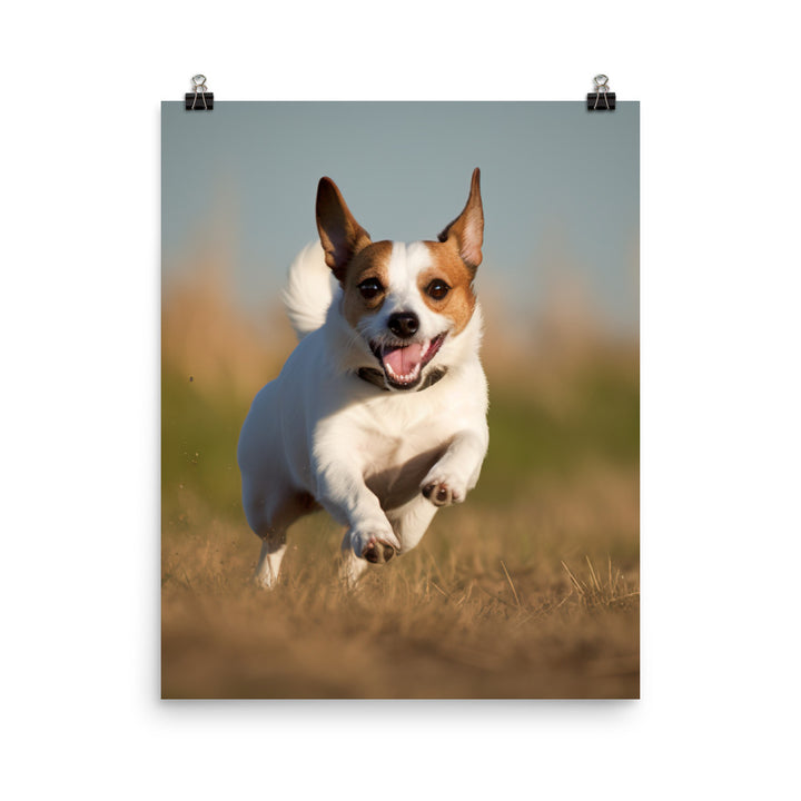 Jack Russell Terriers Comical Expression Photo paper poster - PosterfyAI.com