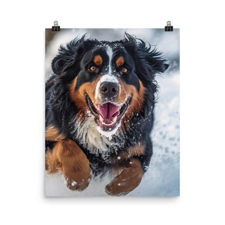 Happy Bernese Mountain Dog Photo paper poster - PosterfyAI.com
