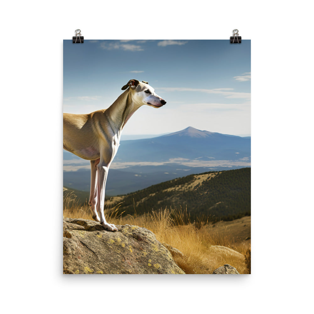 Greyhound in Nature Photo paper poster - PosterfyAI.com