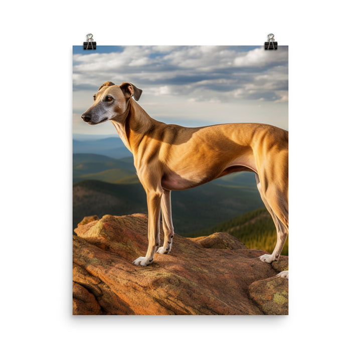 Greyhound in Nature Photo paper poster - PosterfyAI.com