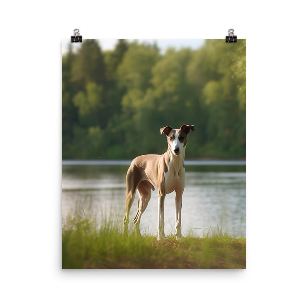 Greyhound by the Lake Photo paper poster - PosterfyAI.com