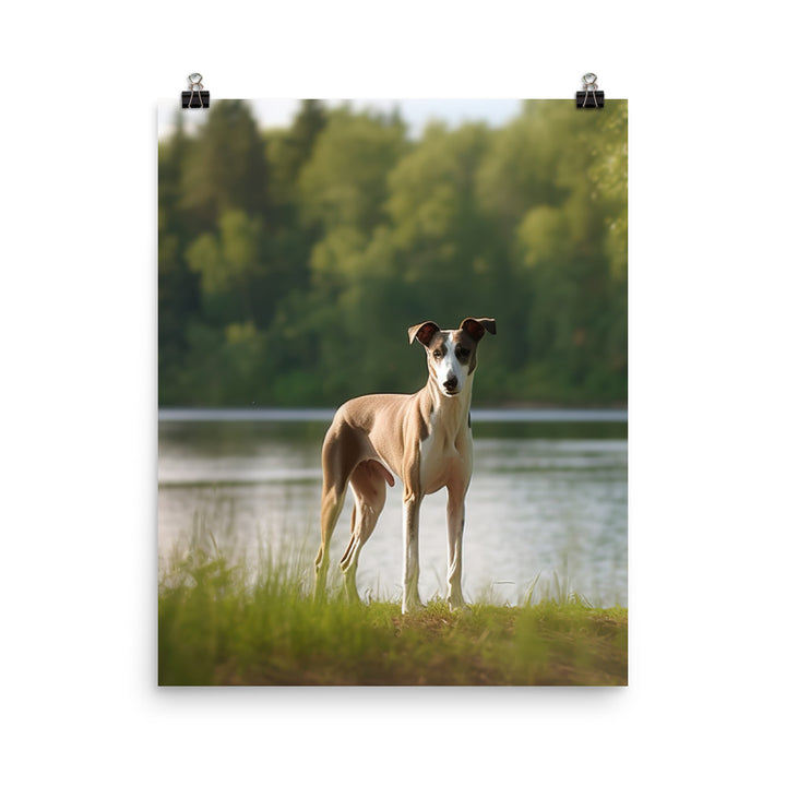 Greyhound by the Lake Photo paper poster - PosterfyAI.com