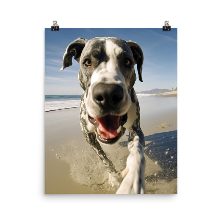 Great Dane at Play Photo paper poster - PosterfyAI.com