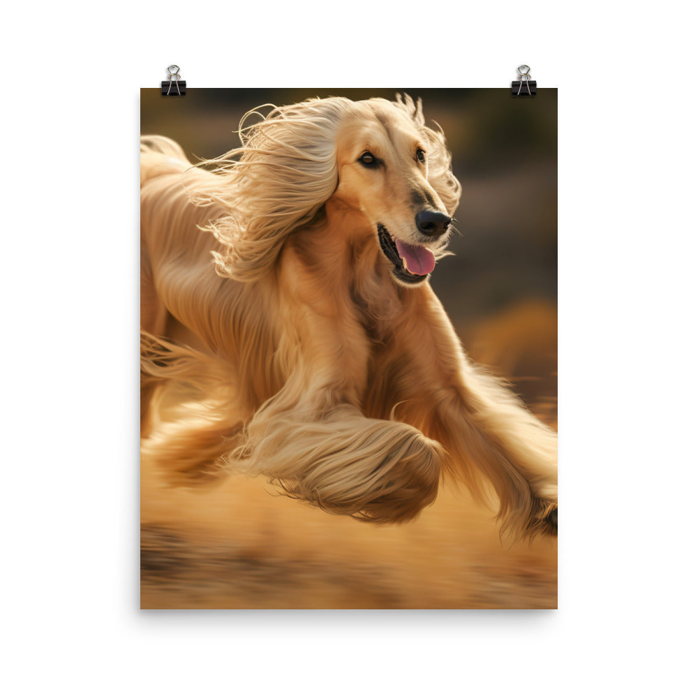 Graceful Afghan Hound in motion Photo paper poster - PosterfyAI.com