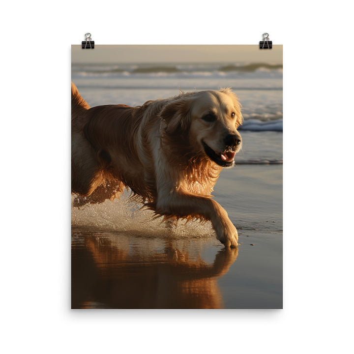 Golden Retriever at the Beach Photo paper poster - PosterfyAI.com
