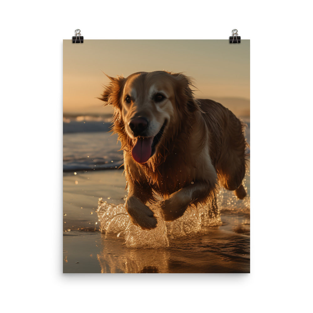 Golden Retriever at the Beach Photo paper poster - PosterfyAI.com