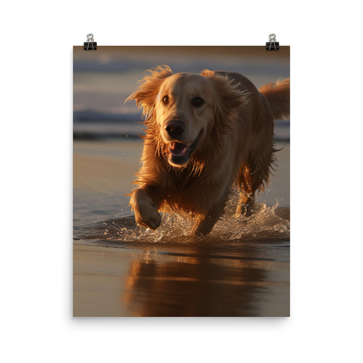 Golden Retriever at the Beach Photo paper poster - PosterfyAI.com