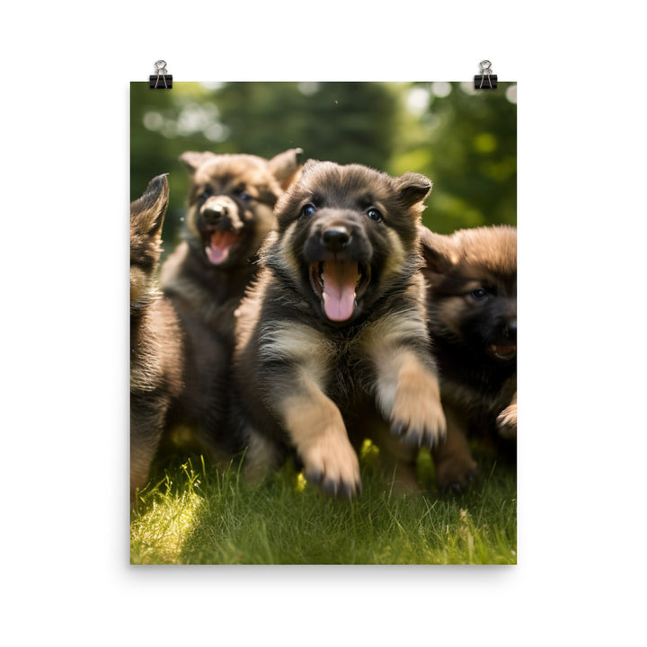 German Shepherd Puppies Photo paper poster - PosterfyAI.com