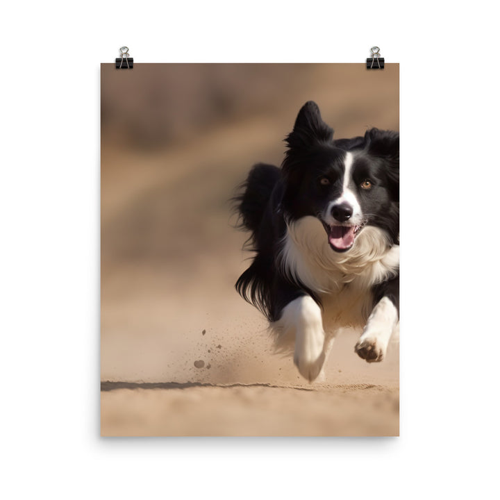 Energetic Border Collie in Action Photo paper poster - PosterfyAI.com