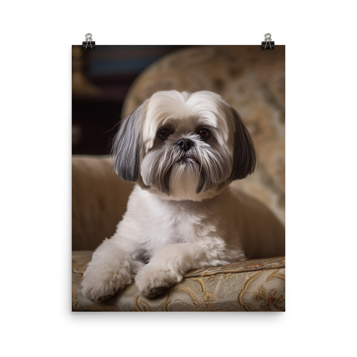 Elegant Shih Tzu Portrait Photo paper poster - PosterfyAI.com