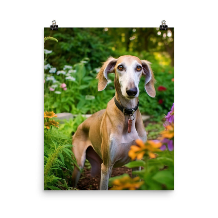 Elegant Saluki Photo paper poster - PosterfyAI.com