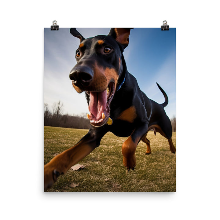Doberman Pinschers love of running Photo paper poster - PosterfyAI.com