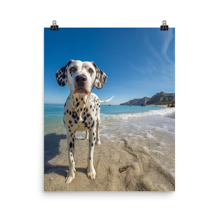 Dalmatian on the Beach Photo paper poster - PosterfyAI.com
