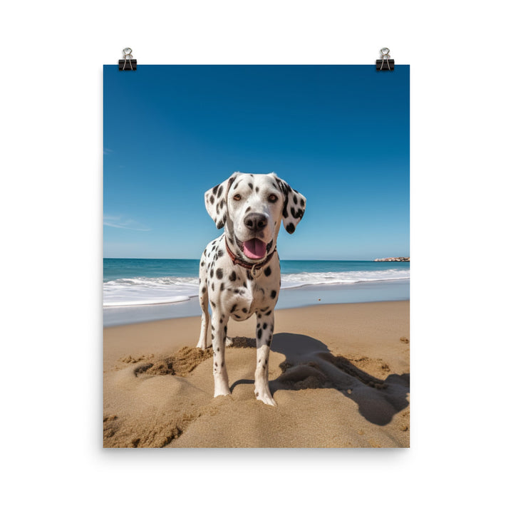 Dalmatian on the Beach Photo paper poster - PosterfyAI.com