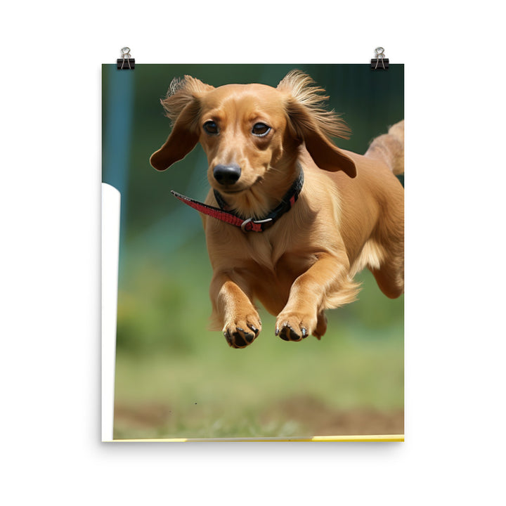 Dachshund Agility Training Photo paper poster - PosterfyAI.com