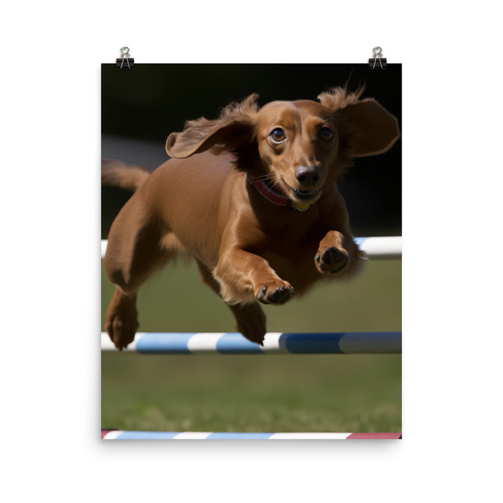 Dachshund Agility Training Photo paper poster - PosterfyAI.com