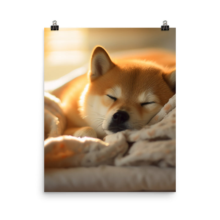 Cuddly Shiba Inu Resting Photo paper poster - PosterfyAI.com