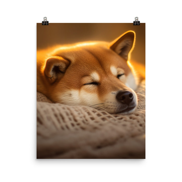 Cuddly Shiba Inu Resting Photo paper poster - PosterfyAI.com