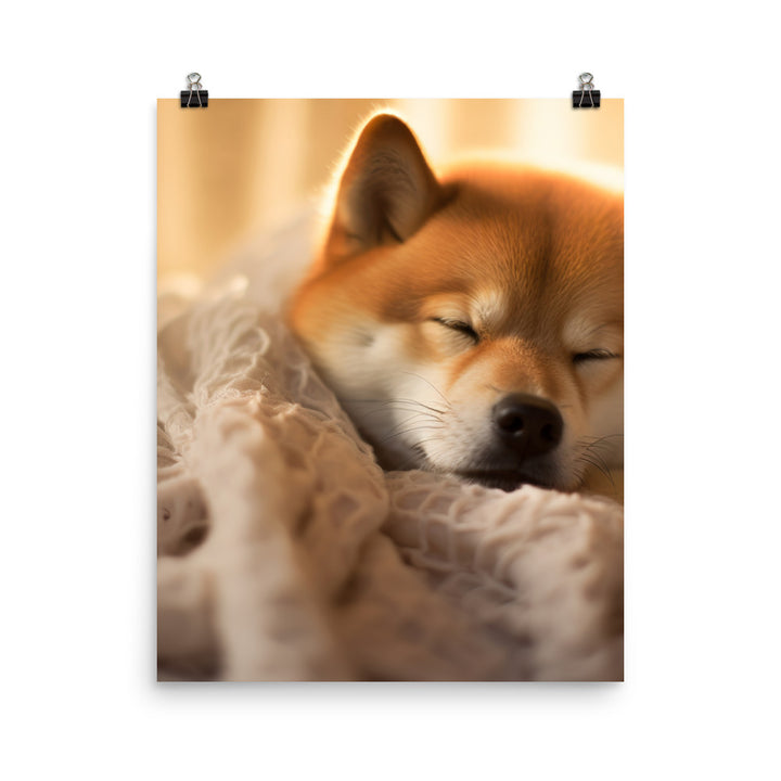 Cuddly Shiba Inu Resting Photo paper poster - PosterfyAI.com
