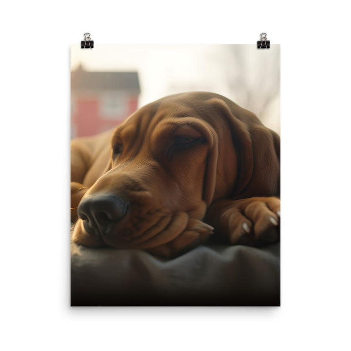 Cuddles with a Bloodhound Photo paper poster - PosterfyAI.com