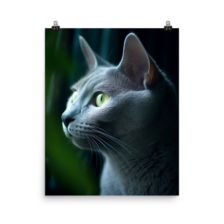 Russian Blue Cat Photo paper poster - PosterfyAI.com