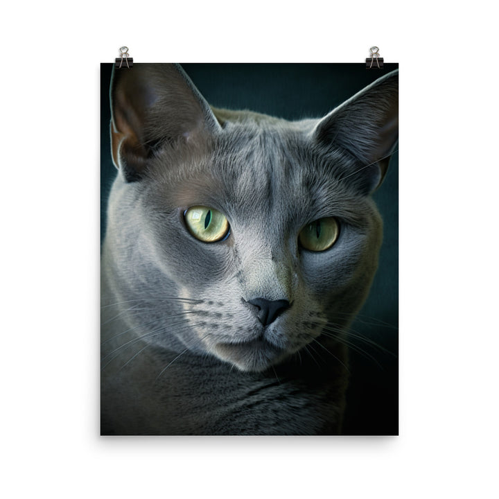 Russian Blue Cat Photo paper poster - PosterfyAI.com