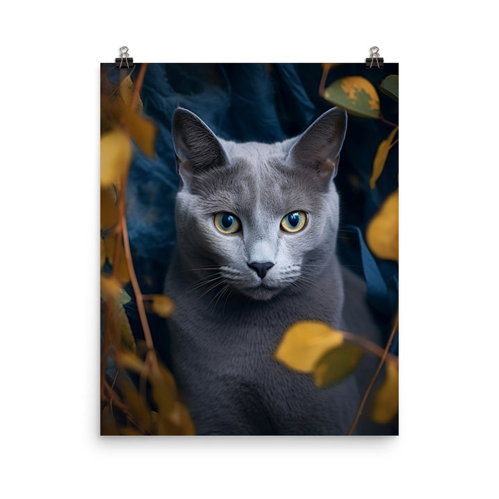 Russian Blue Cat Photo paper poster - PosterfyAI.com