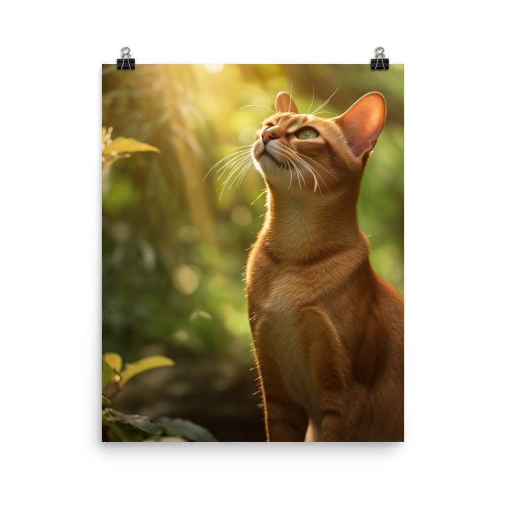 Elegance of Abyssinian Cat Photo paper poster - PosterfyAI.com