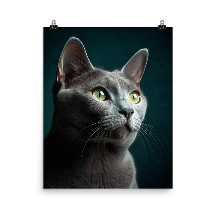 Gentle Nature of Russian Blue Cat Photo paper poster - PosterfyAI.com
