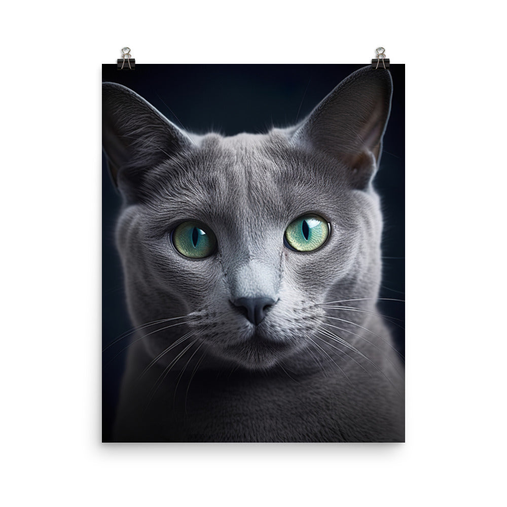 Beauty of Russian Blue Cat Photo paper poster - PosterfyAI.com
