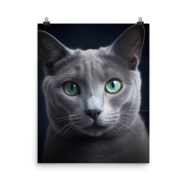 Beauty of Russian Blue Cat Photo paper poster - PosterfyAI.com