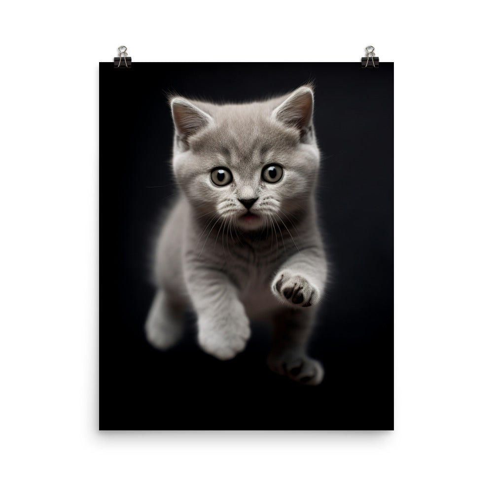 British Shorthair Kittens Photo paper poster - PosterfyAI.com