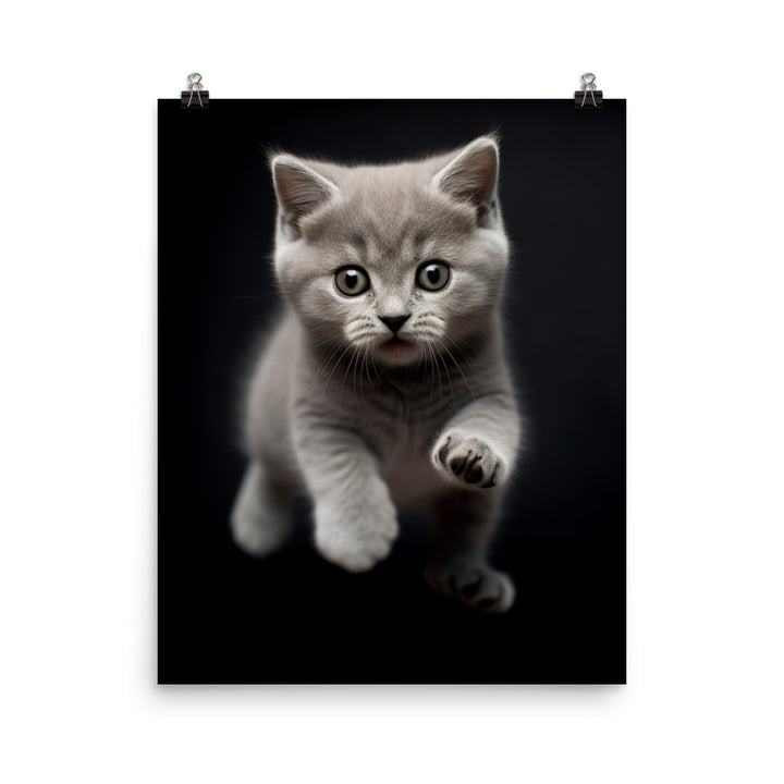 British Shorthair Kittens Photo paper poster - PosterfyAI.com